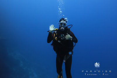 Open water diver course for aspiring scuba divers