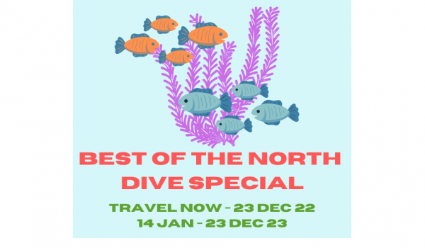 Best of the North Diver SPECIAL