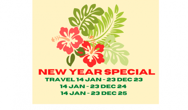 New Year Special