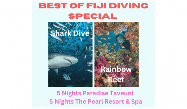 Best of Fiji Diving