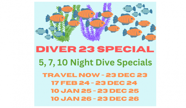 DIVER 23 SPECIAL