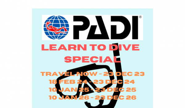 Learn To Dive SPECIAL