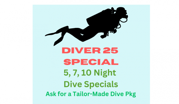DIVER 25 SPECIAL