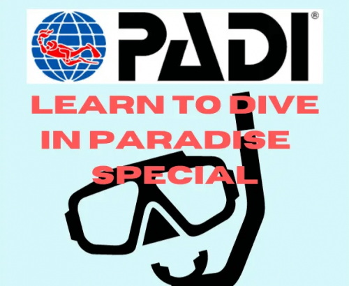 Learn To Dive PADI