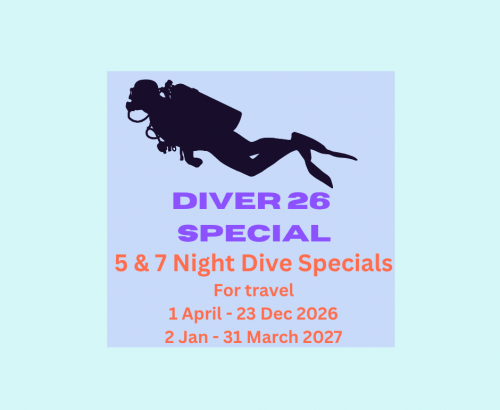 Diver 2026 Special