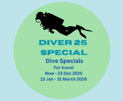 Diver 2025 Specials