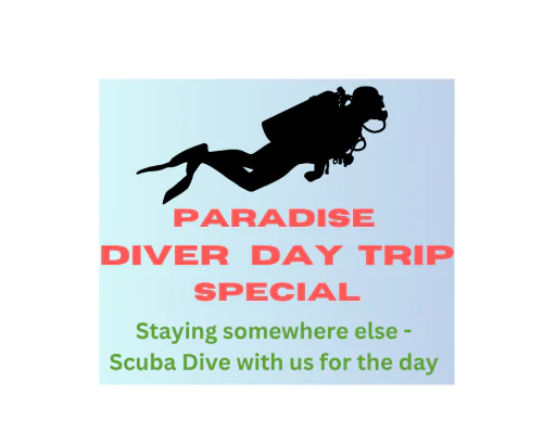 Diver Day Trip Special