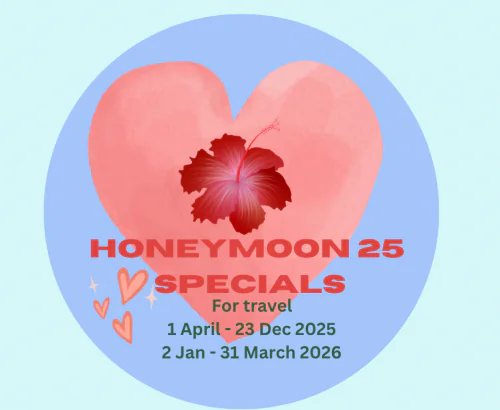 Honeymoon Specials 2025