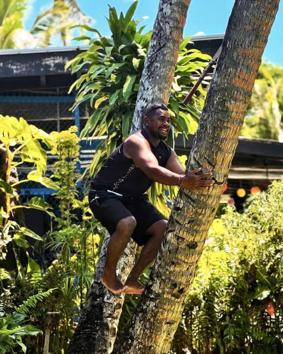 Cocnut tree climbing