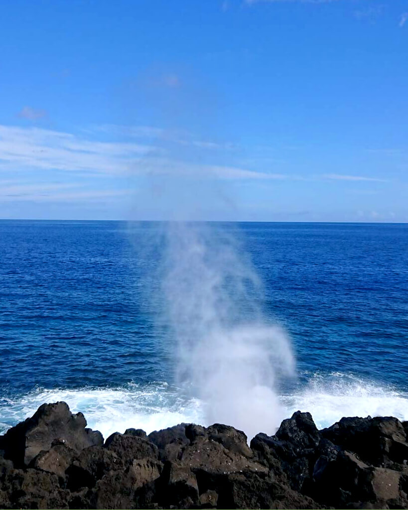 Southern blowhole