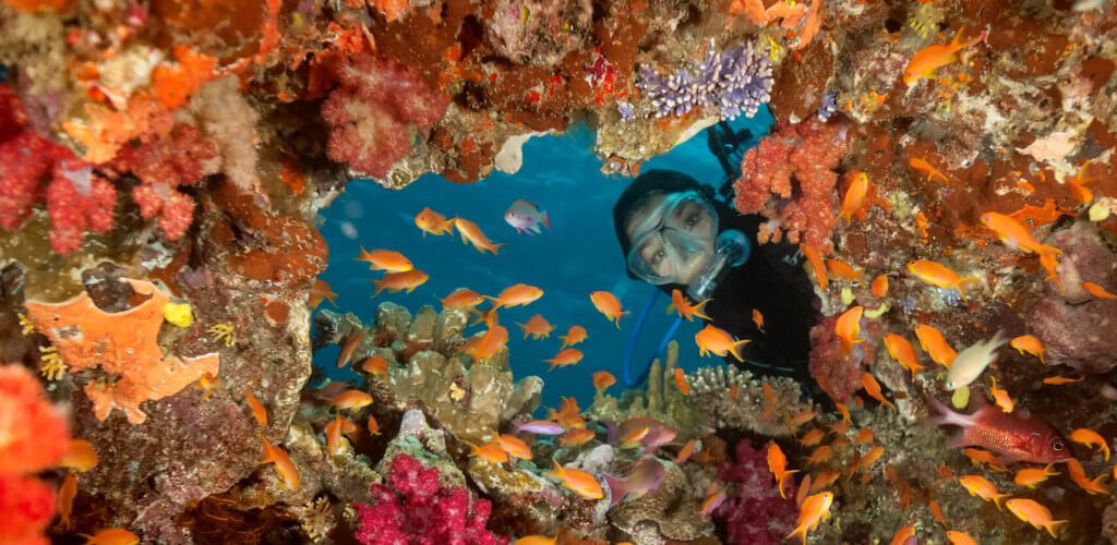 Coral reef diver looking through